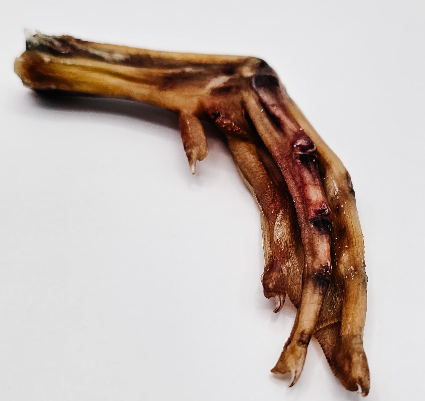 Duck Feet