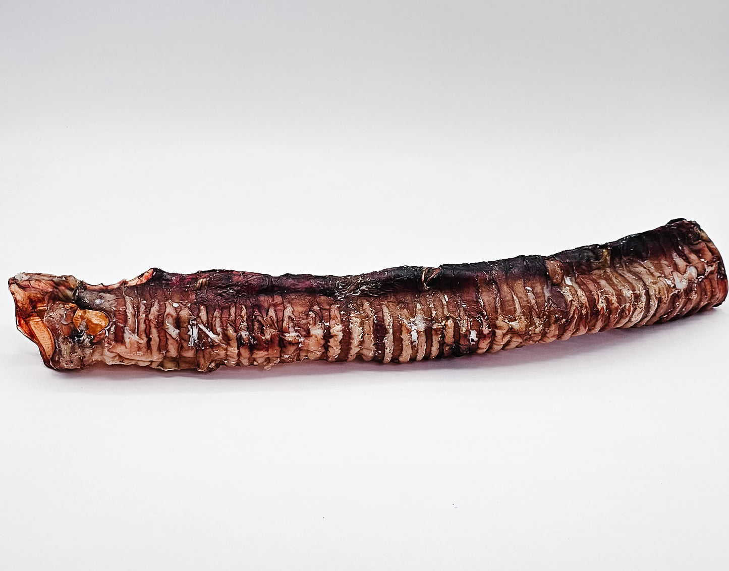 Beef Trachea