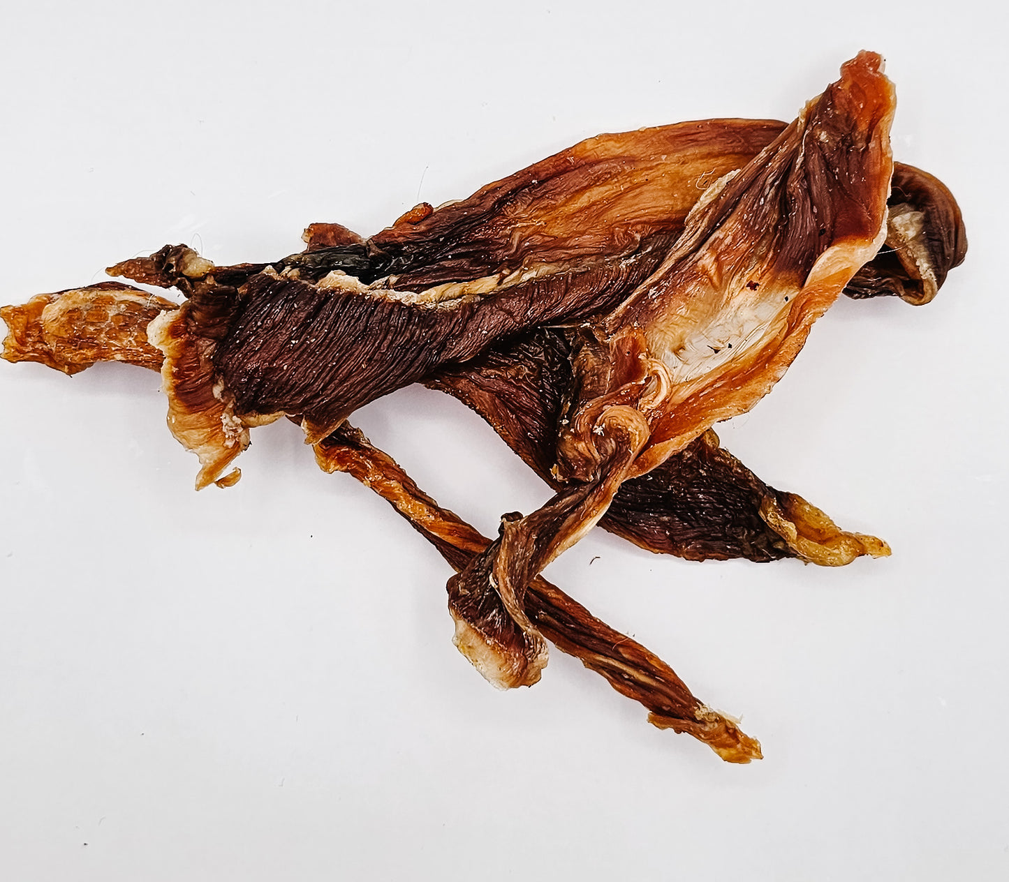 Rabbit Jerky