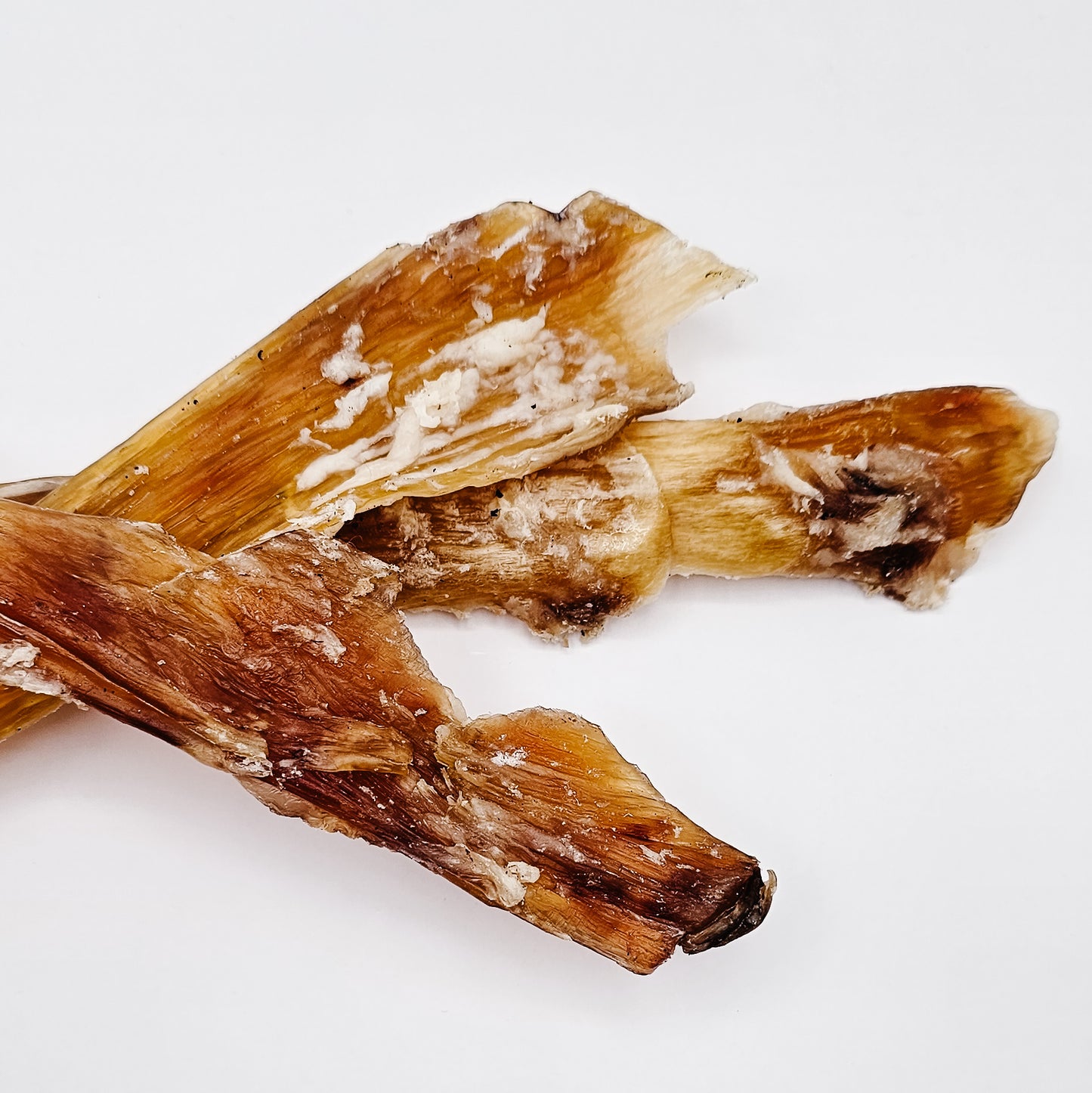 Backstrap/Tendon