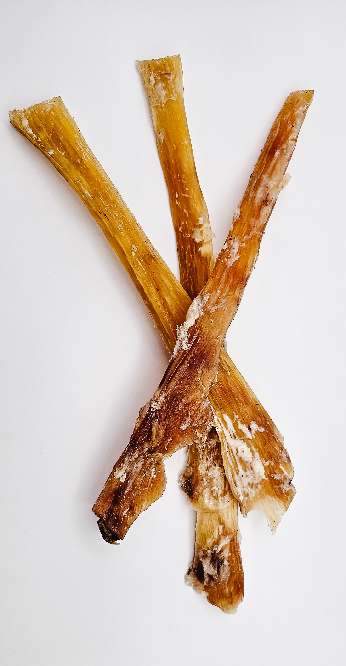 Backstrap/Tendon